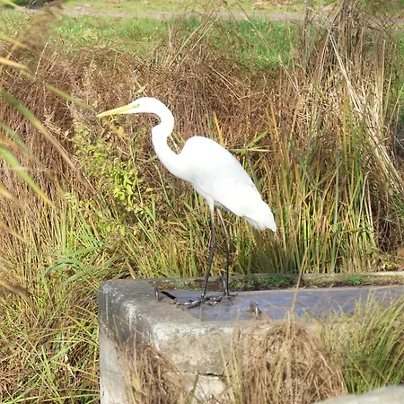 Appartamento Am Haff A3 *