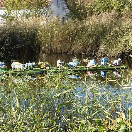 Am Haff A3 Appartamento *